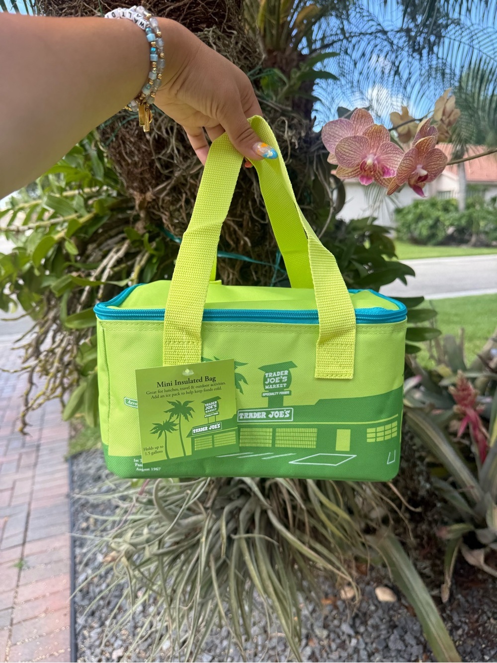 NWT | Trader Joe's Lime Green Mini Insulated Bag - Picture 2 of 8
